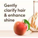 AVEENO CIDER VINEGAR SHAMPOO 354ML thumbnail 6