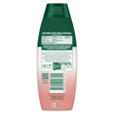 PALMOLIVE NATURALS VIBRANT COLOUR SHAMPOO 350ML thumbnail 2