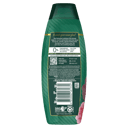 PALMOLIVE LUMINOUS ARGAN OIL & CAMELLIA SHAMPOO 350ML thumbnail 2