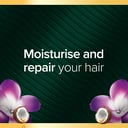 PALMOLIVE LUMINOUS COCONUT OIL & FRANGIPANI SHAMPOO 350ML thumbnail 4