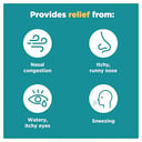 NASONEX ALLERGY 65 METERED DOSE SPRAY thumbnail 10