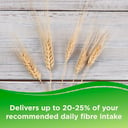 BENEFIBER NATURAL FIBRE 155G thumbnail 6