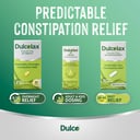 DULCOLAX CONSTIPATION RELIEF SUPPOSITORIES 10 PACK thumbnail 7