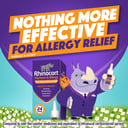 RHINOCORT HAYFEVER NASAL SPRAY 64MCG 120 DOSE TWIN PACK thumbnail 8