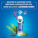 VICKS INHALER LAVENDER thumbnail 6