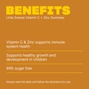 SWISSE LITTLE VITAMIN C + ZINC 40 GUMMIES thumbnail 3