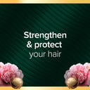 PALMOLIVE LUMINOUS ARGAN OIL & CAMELLIA SHAMPOO 350ML thumbnail 3