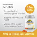 NATURES WAY HIGH STRENGTH ZINC + GUMMIES 60 thumbnail 3