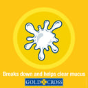 GOLD CROSS CHESTY COUGH SENEGA & AMMONIA LIQUID 200ML thumbnail 3