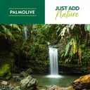 PALMOLIVE BODY WASH NATURALS MILK & HONEY 500ML thumbnail 9