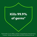 DETTOL ANTIBACTERIAL MULTI PURPOSE SPRAY LIME MINT 500ML thumbnail 6