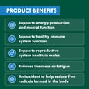 NATURES OWN MEN BODY FUEL MULTIVITAMINS 60 TABLETS thumbnail 5