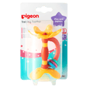 PIGEON TEETHER TRAINING STEP 1 thumbnail 1