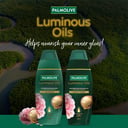 PALMOLIVE LUMINOUS ARGAN OIL & CAMELLIA SHAMPOO 350ML thumbnail 4