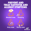 RHINOCORT HAYFEVER NASAL SPRAY 64MCG 120 DOSE TWIN PACK thumbnail 10