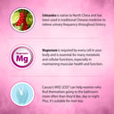 CARUSOS WEE LESS 60 TABLETS thumbnail 3
