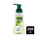PALMOLIVE FOAMING HAND WASH ANTIBACTERIAL  LIME & MINT 250ML thumbnail 7