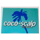 COCO SCALP DRY SCALP OINTMENT 40G thumbnail 3