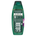 PALMOLIVE LUMINOUS COCONUT OIL & FRANGIPANI SHAMPOO 350ML thumbnail 2