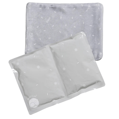 BBOX GEL LUNCHBOX COOLER JUMBO 2 PACK