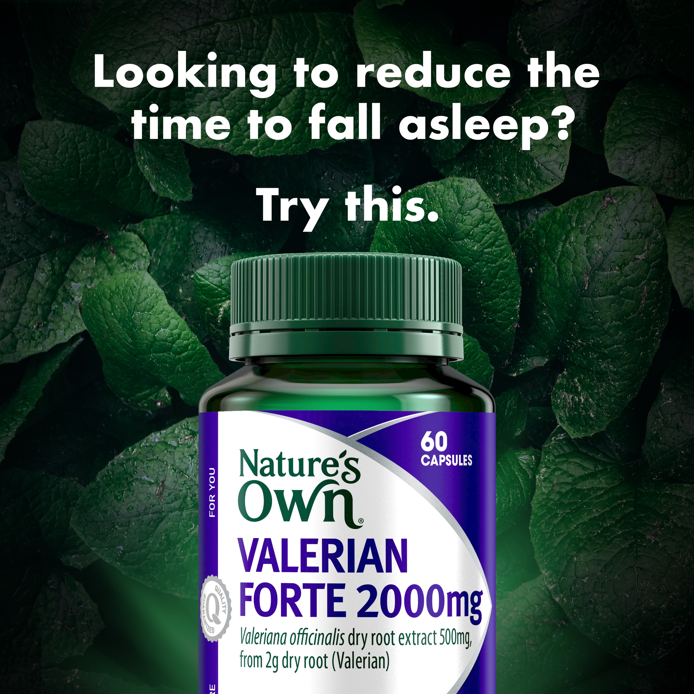 NATURES OWN VALERIAN FORTE 2000MG 60 CAPSULES - Image 3
