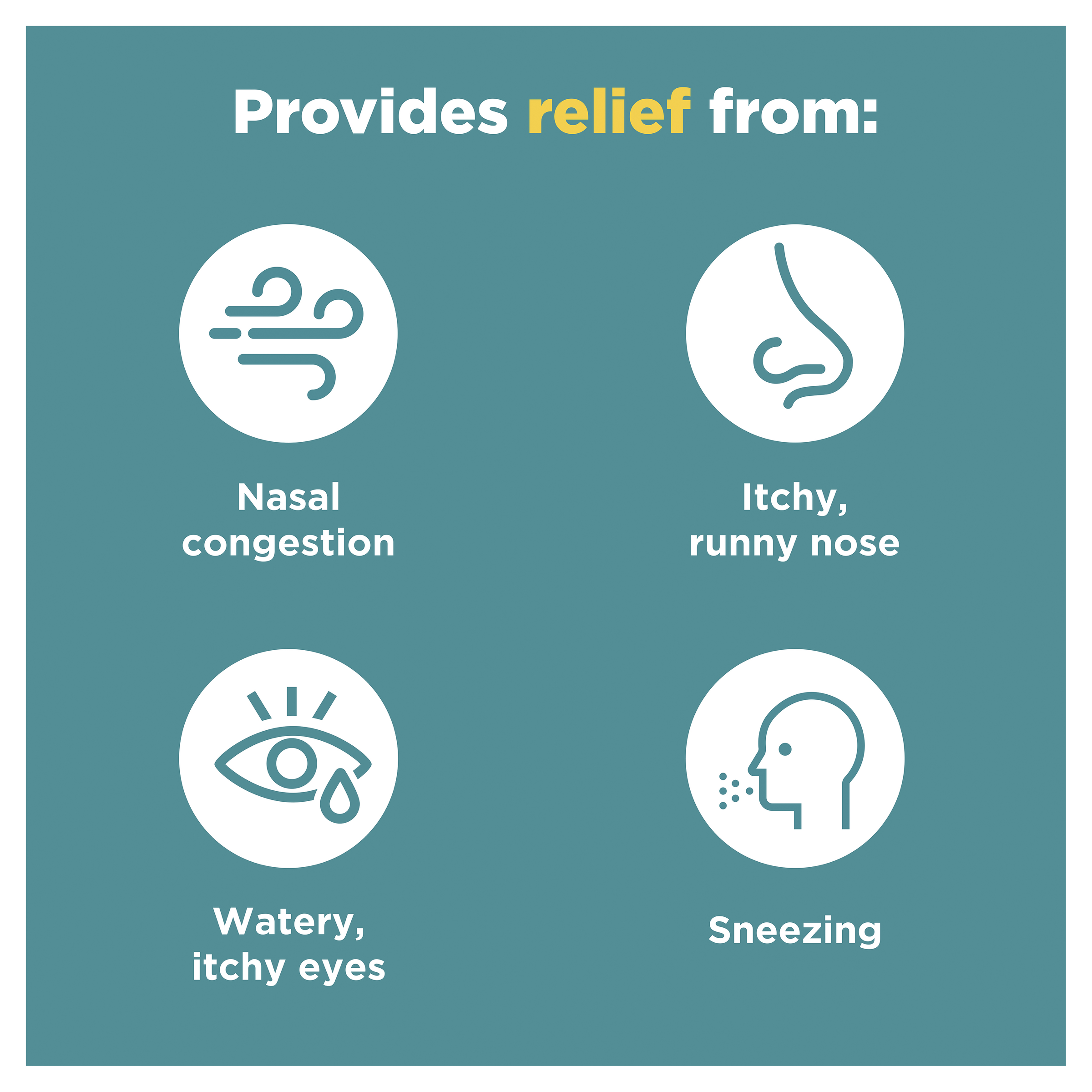 NASONEX ALLERGY 65 METERED DOSE SPRAY - Image 10