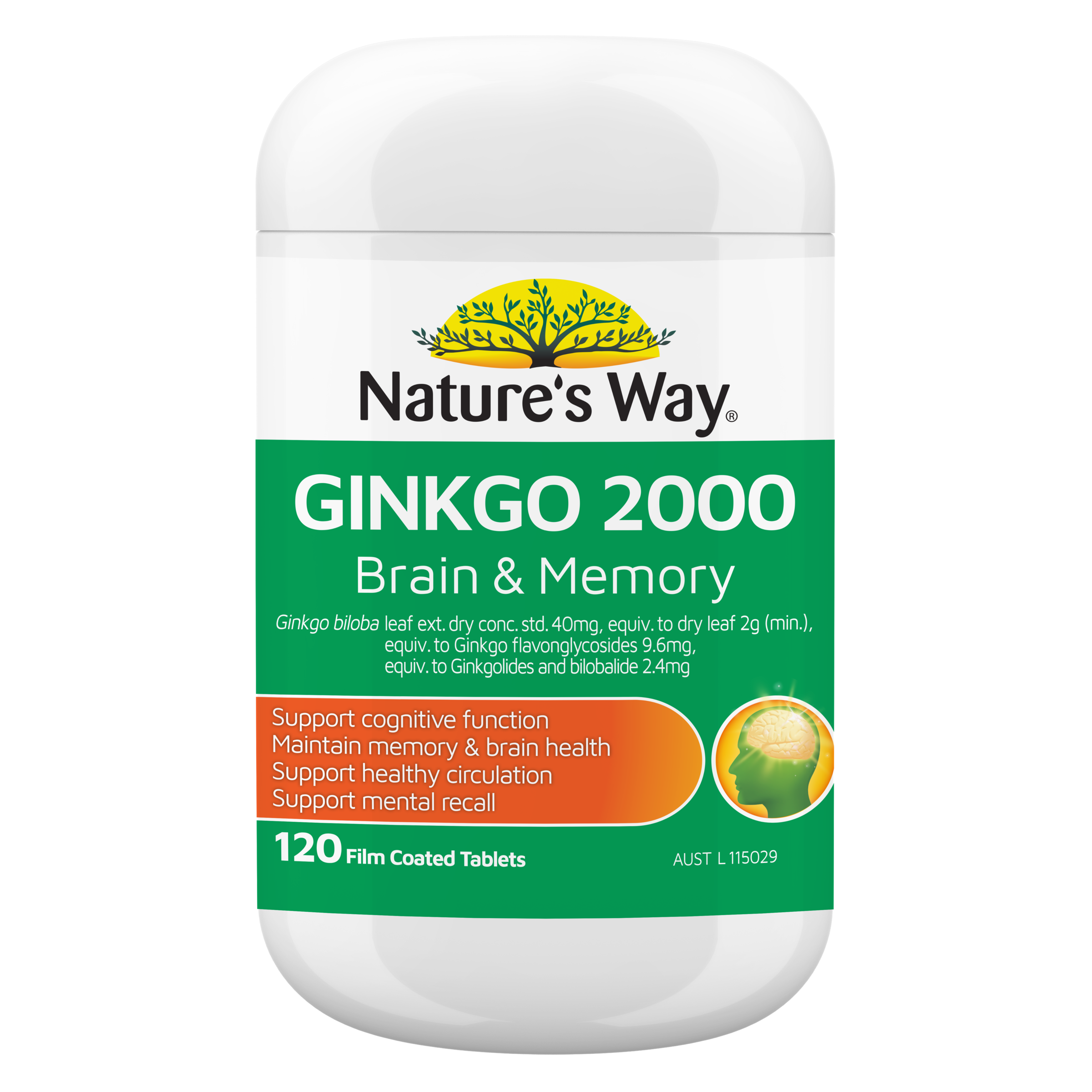 NATURES WAY 2000 BRAIN & MEMORY 120 TABLETS