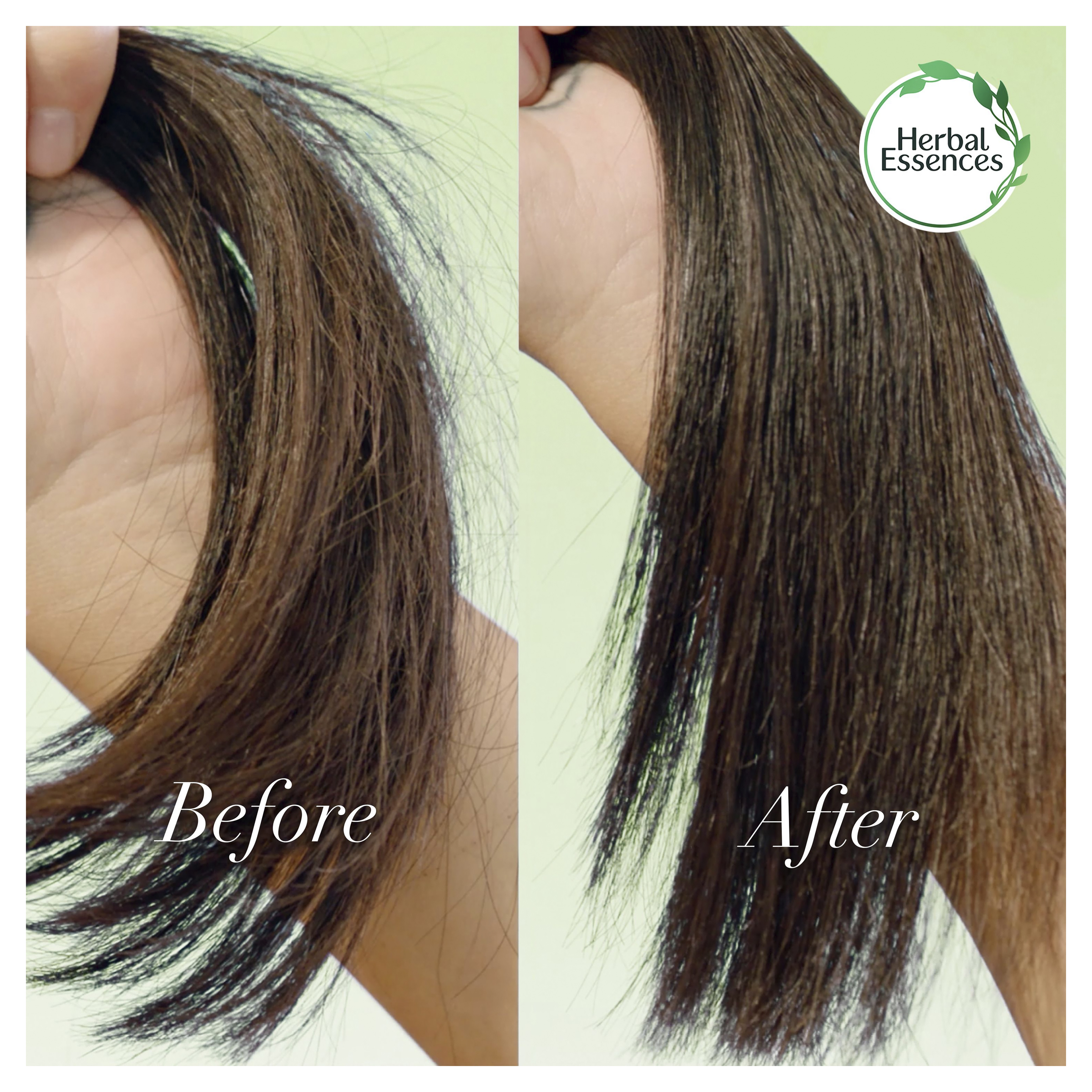 HERBAL ESSENCES BIO RENEW ARGAN OIL SHAMPOO 400ML - Image 6