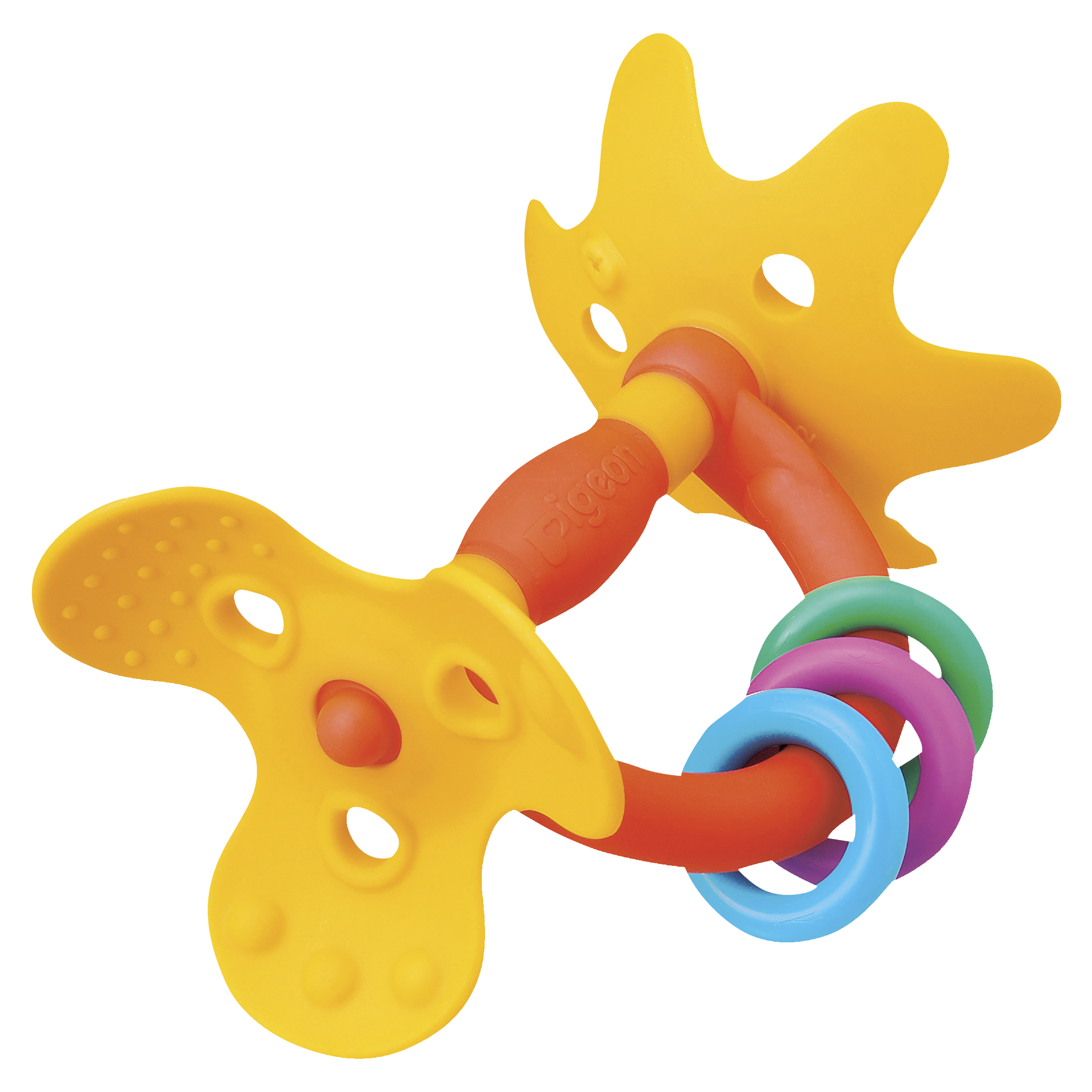 PIGEON TEETHER TRAINING STEP 1 - Image 2