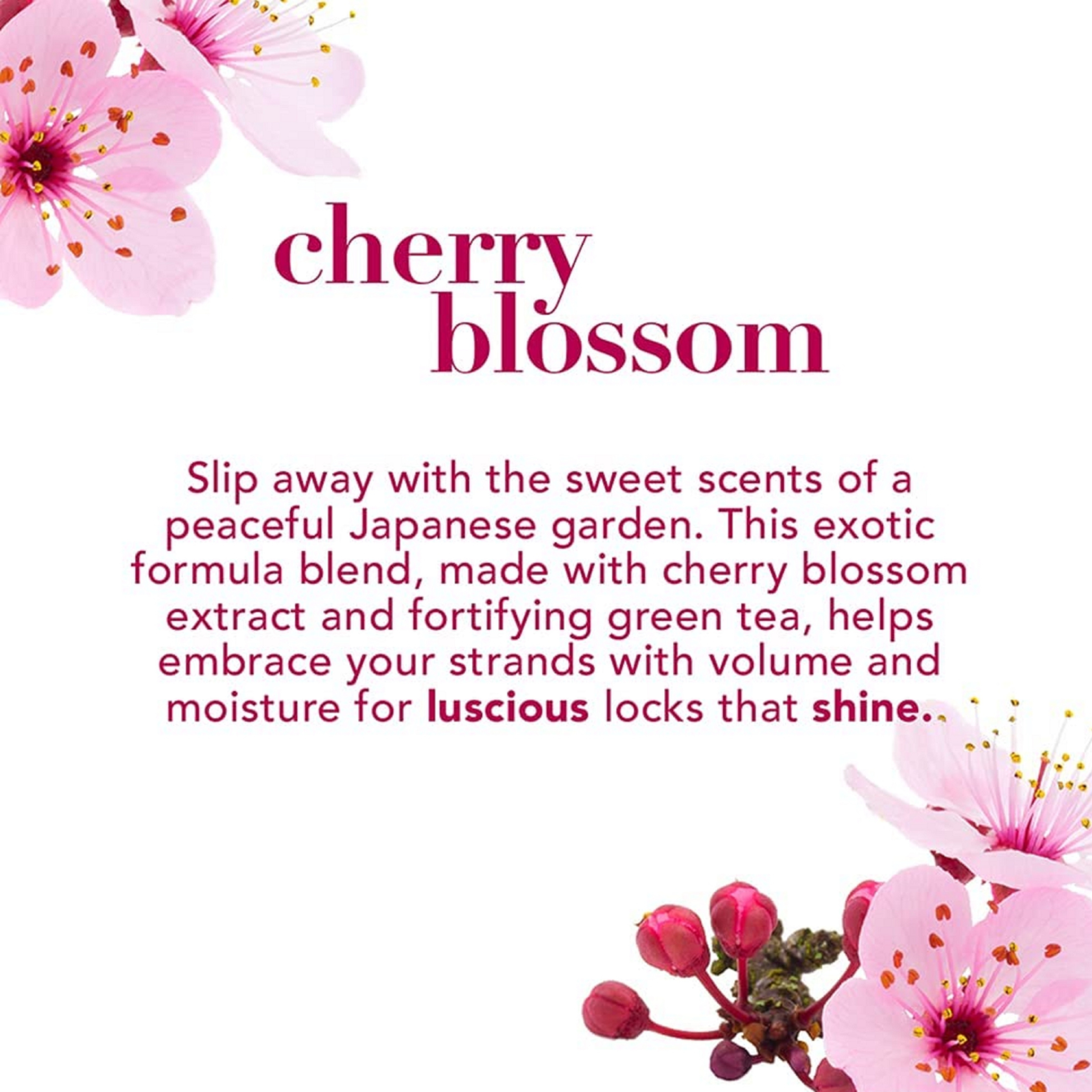OGX CHERRY BLOSSOM CONDITIONER 385ML - Image 7