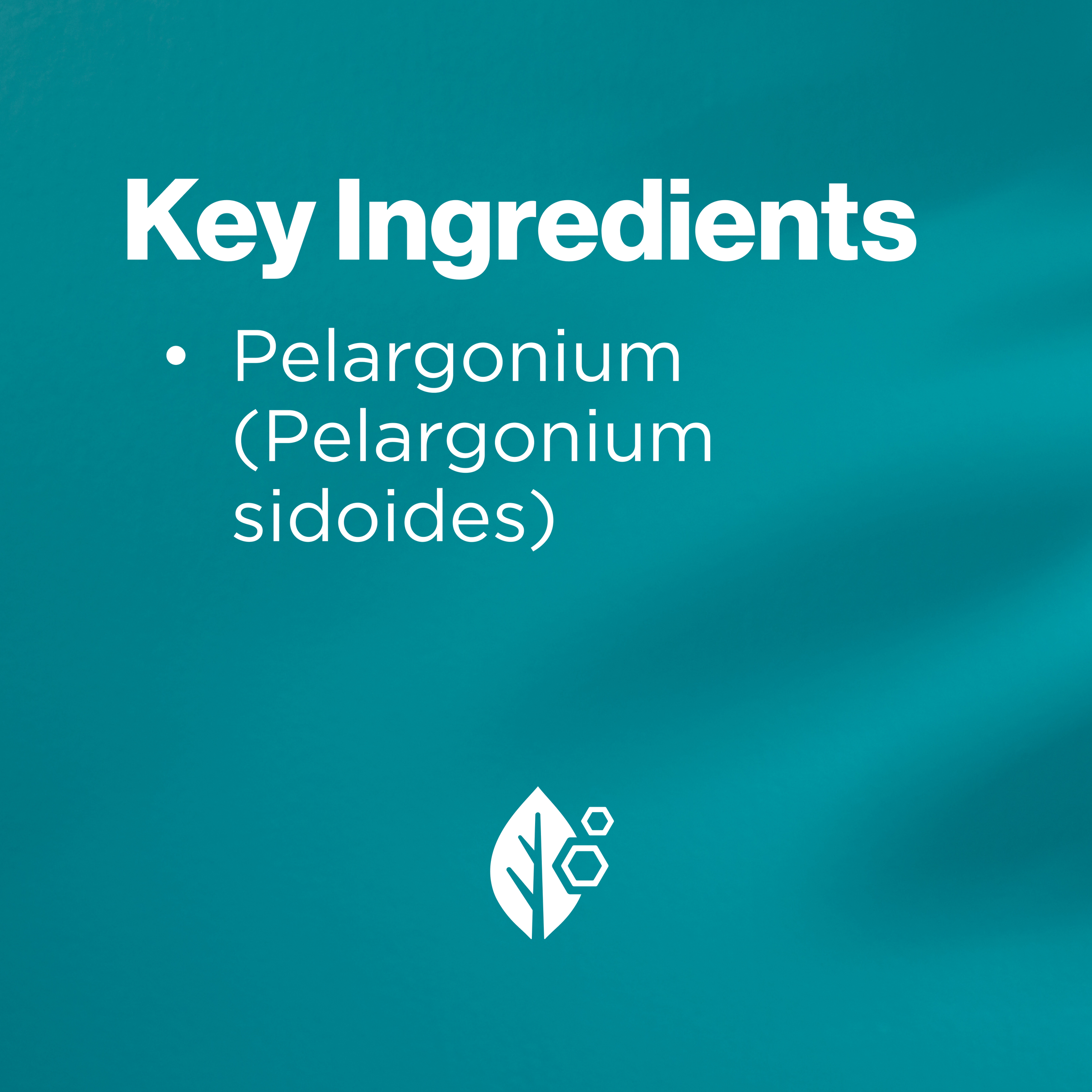 BLACKMORES KALOBA LIQUID 50ML - Image 6