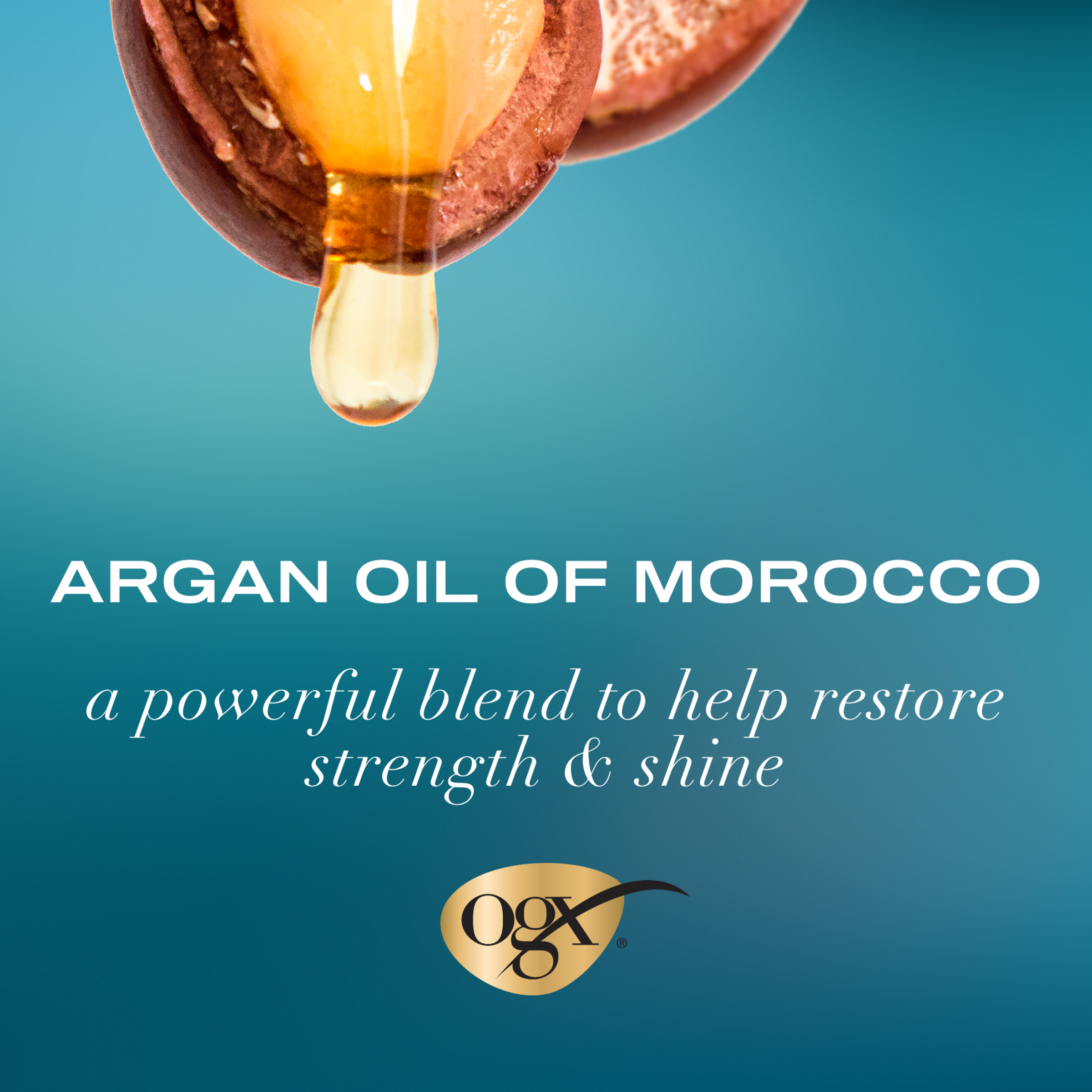 OGX ARGAN OIL OF MOROCCO CONDITIONER 385ML - Image 4