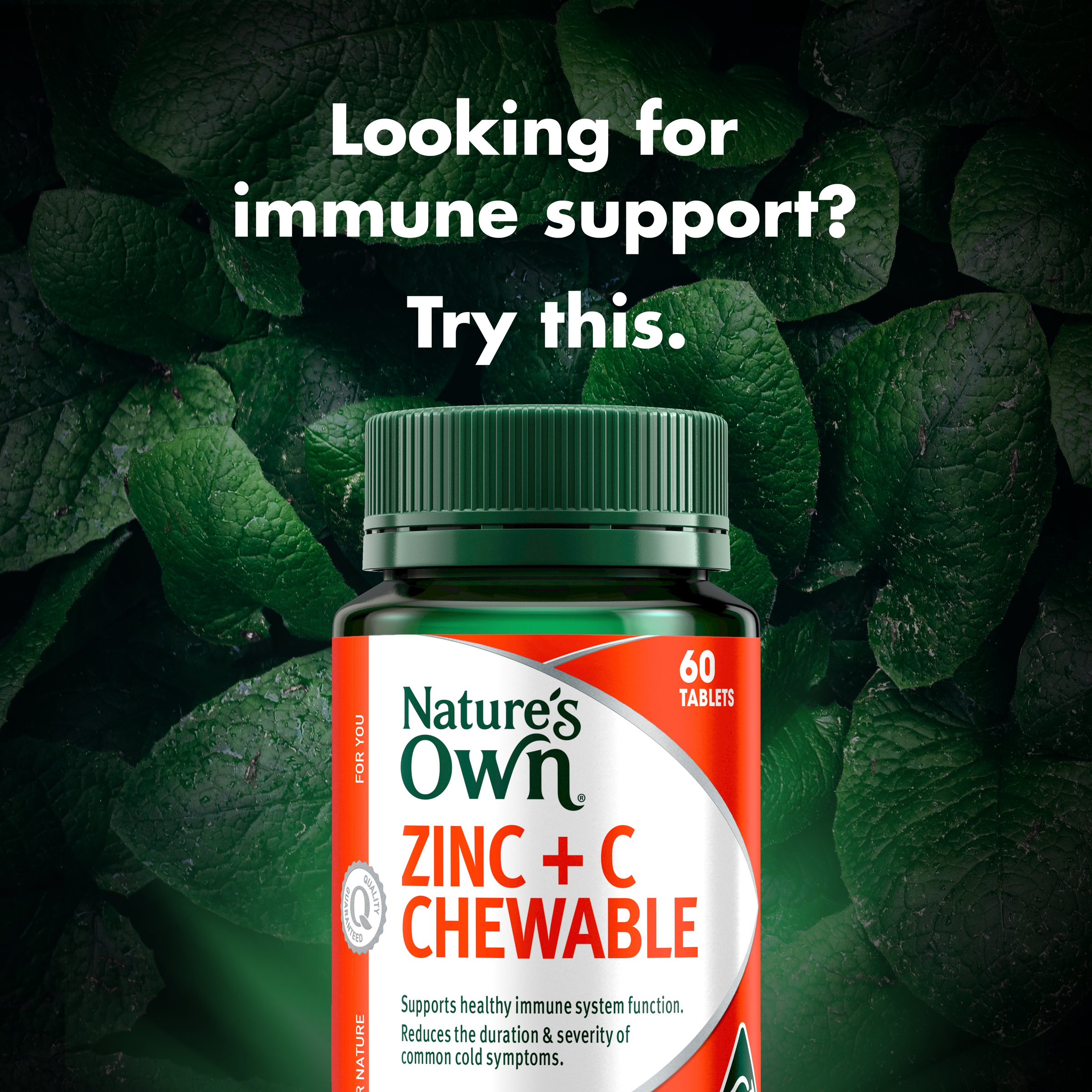 NATURES OWN ZINC + C CHEWABLE 60 TABLETS - Image 3