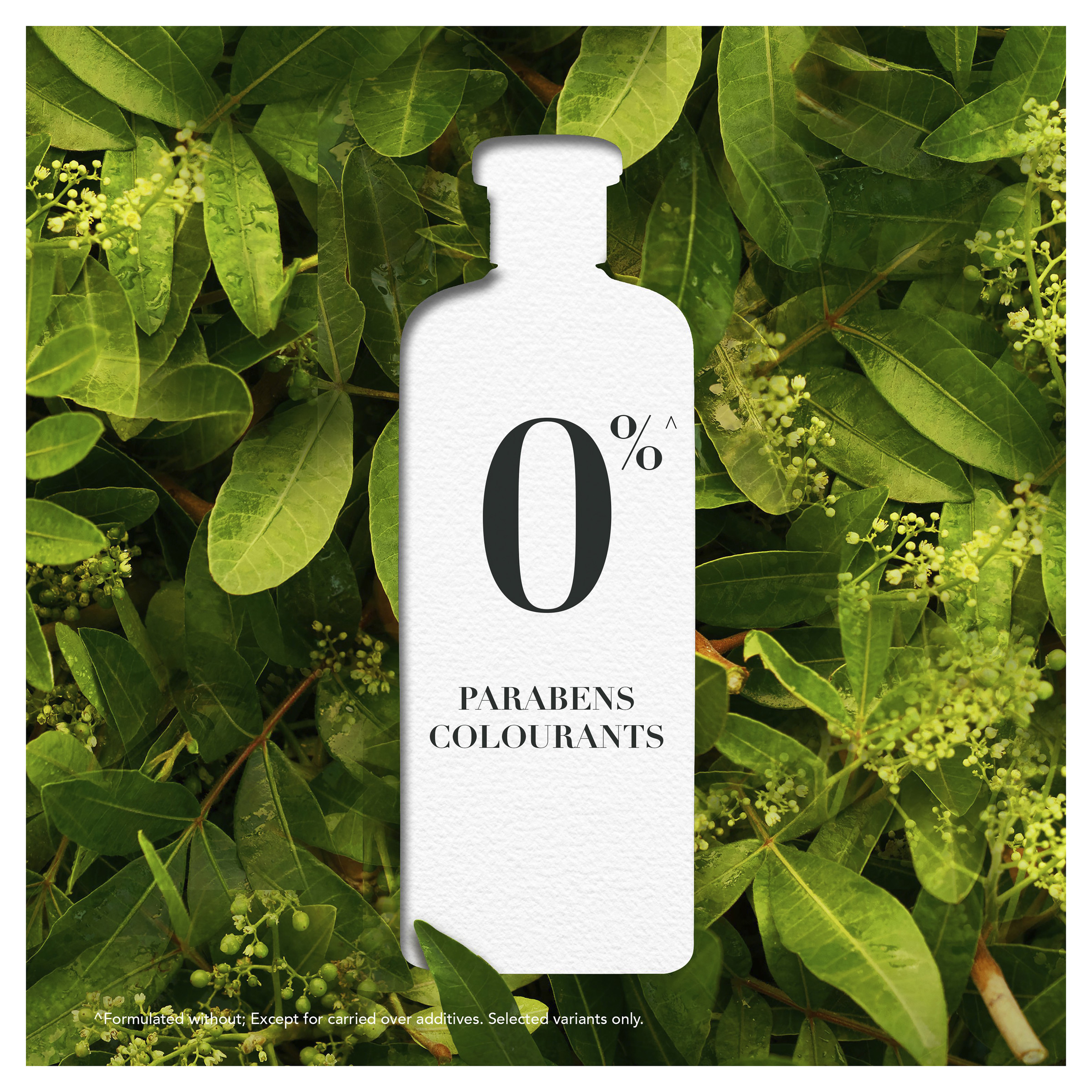 HERBAL ESSENCES BIO RENEW ARGAN OIL CONDITIONER 400ML - Image 8
