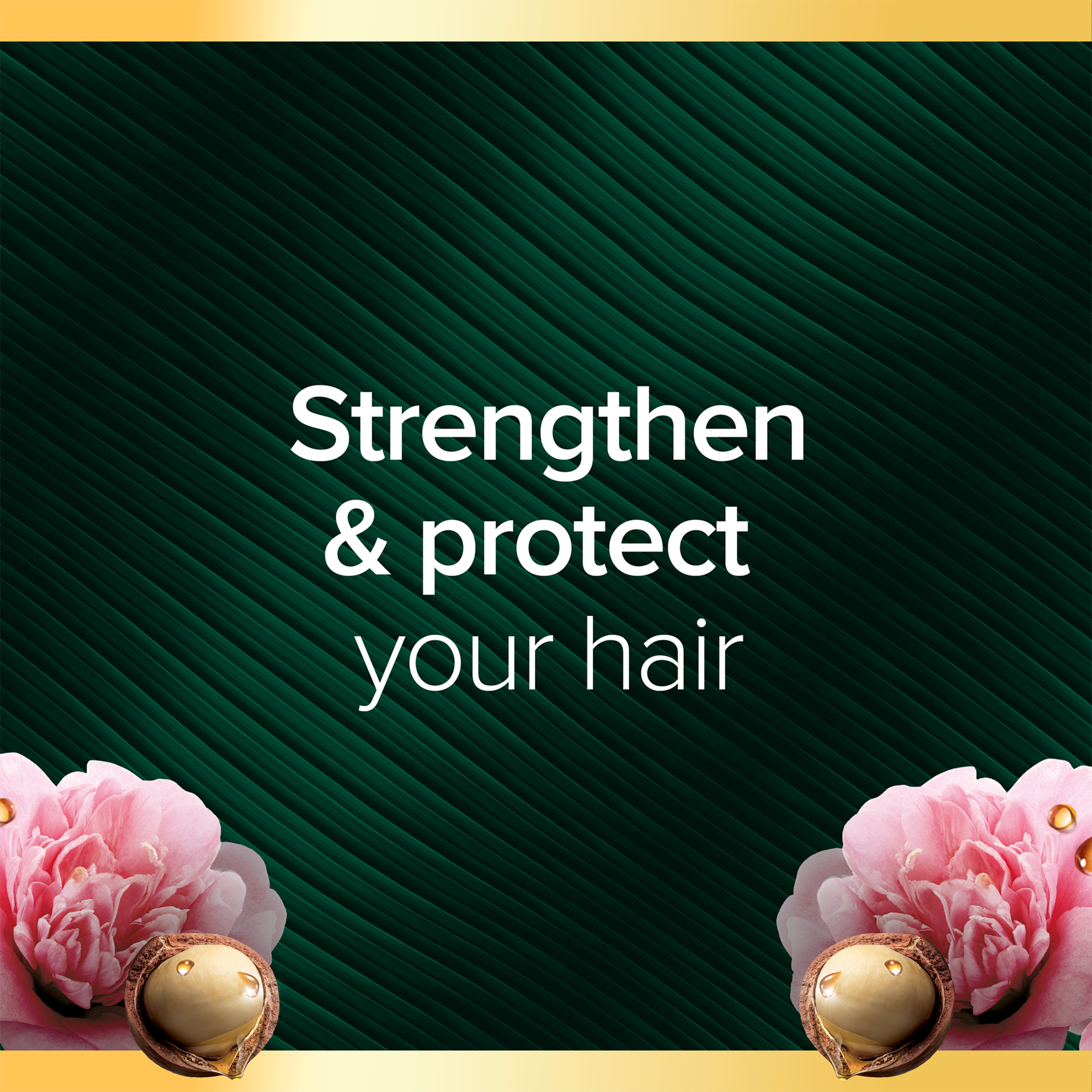 PALMOLIVE LUMINOUS ARGAN OIL & CAMELLIA SHAMPOO 350ML - Image 3