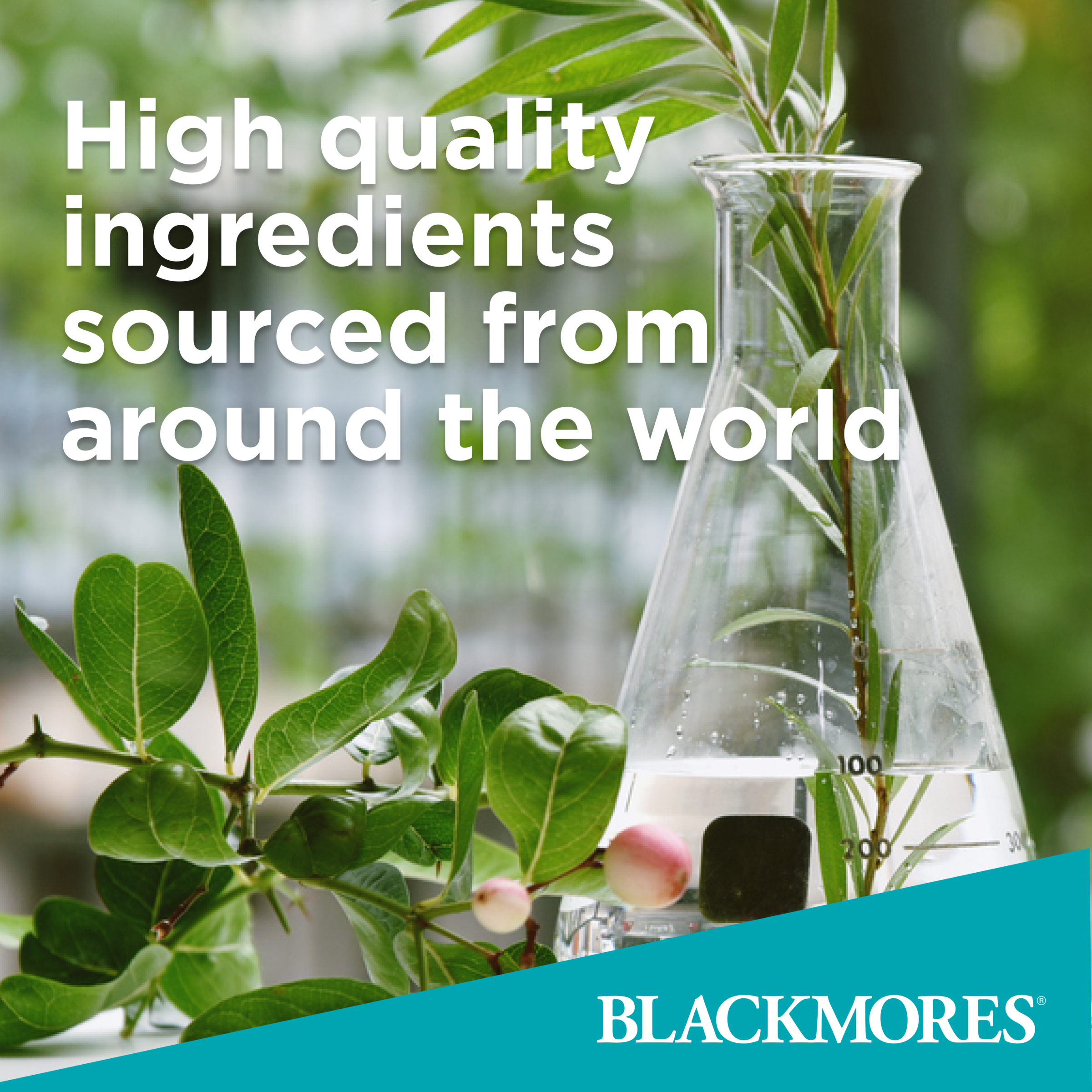 BLACKMORES PREGNANCY & BREAST-FEEDING GOLD 60 CAPSULES - Image 5