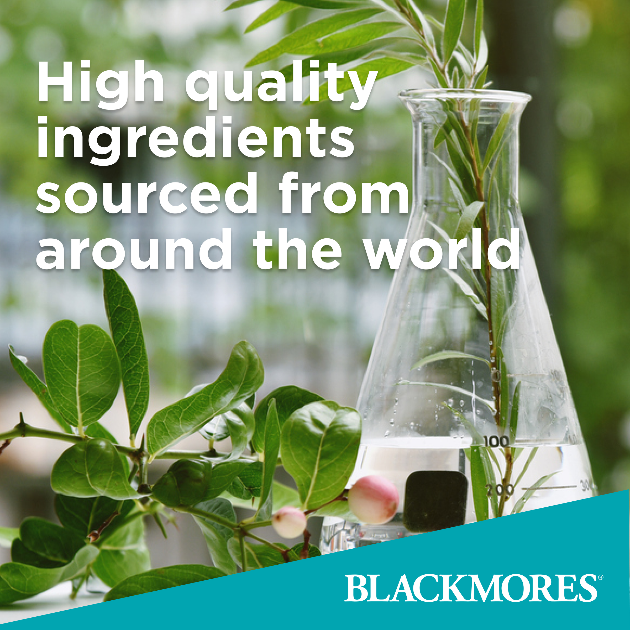 BLACKMORES CHOLESTEROL HEALTH 60 CAPSULES - Image 5
