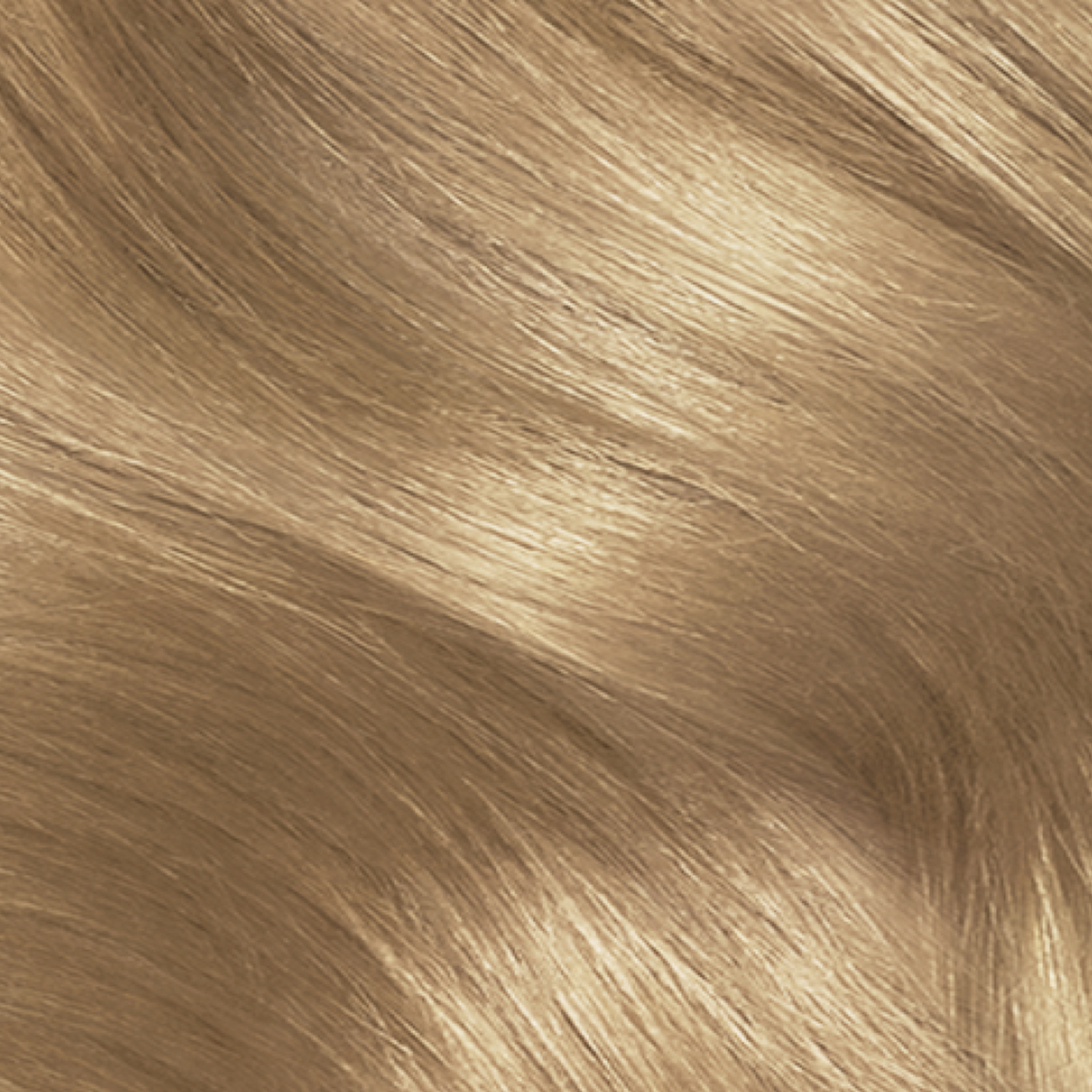 CLAIROL NICE N EASY 8G GOLDEN BLONDE - Image 7