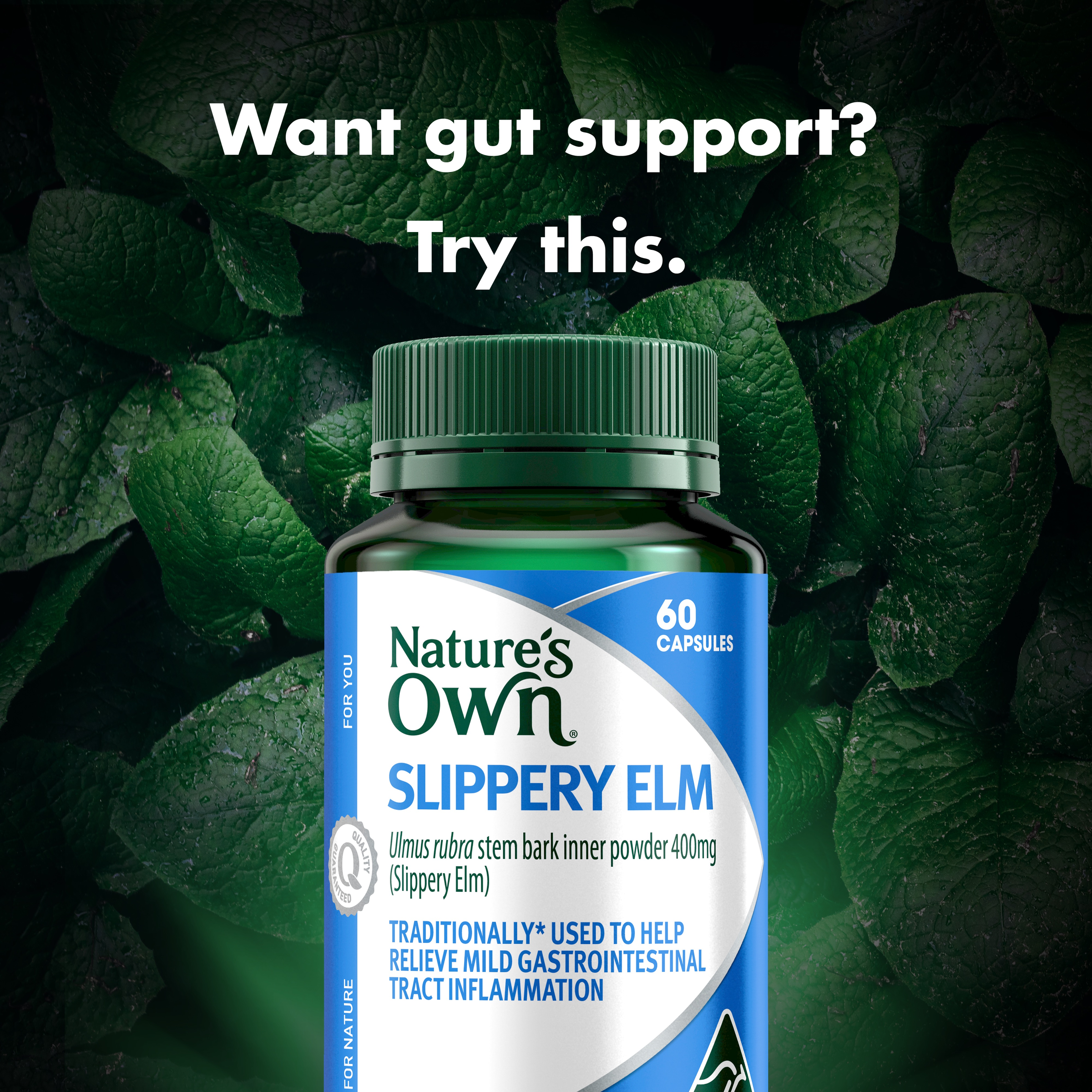 NATURES OWN SLIPPERY ELM 60 CAPSULES - Image 3