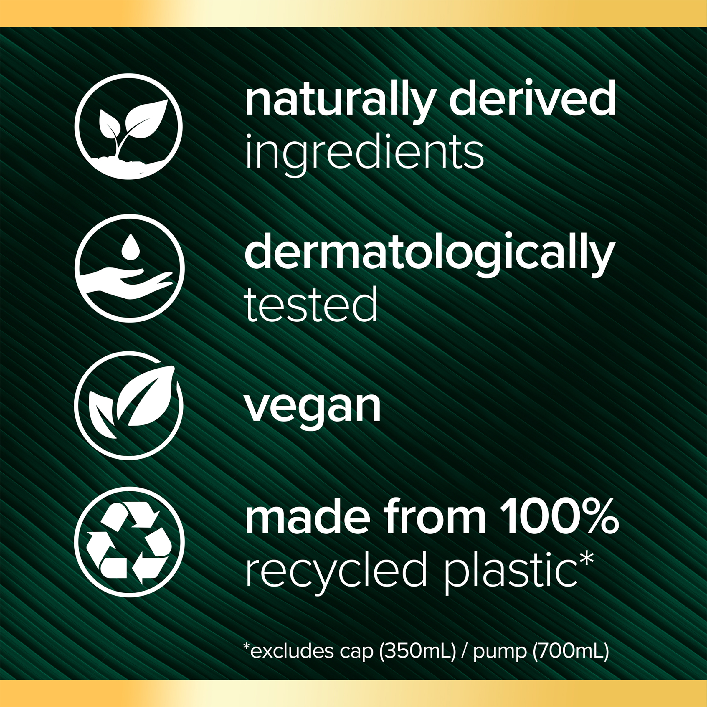 PALMOLIVE LUMINOUS ARGAN OIL & CAMELLIA SHAMPOO 350ML - Image 5