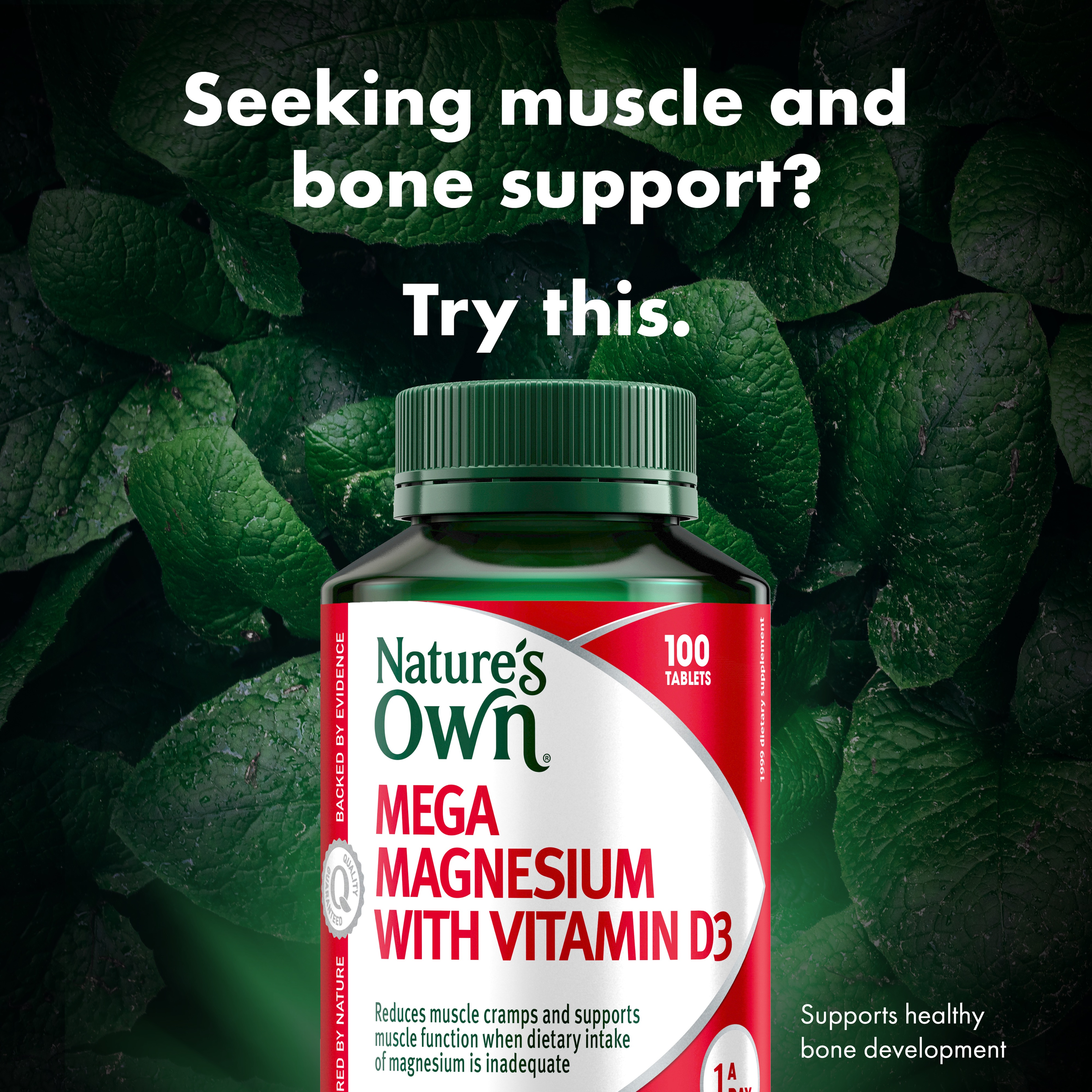 NATURES OWN MEGA MAGNESIUM WITH VITAMIN D3 100 TABLETS - Image 3