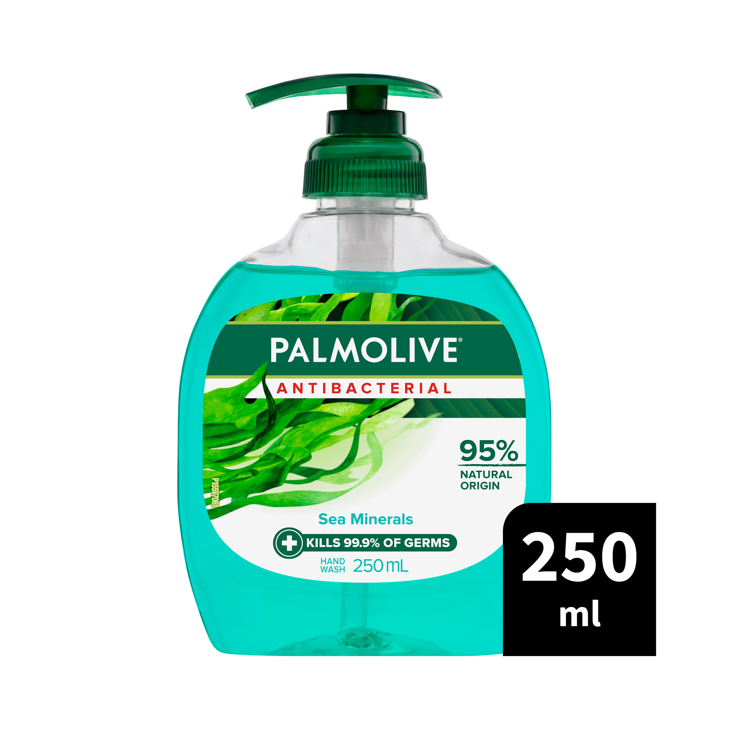 PALMOLIVE ANTIBACTERIAL  HAND WASH SEA MINERALS 250ML - Image 7