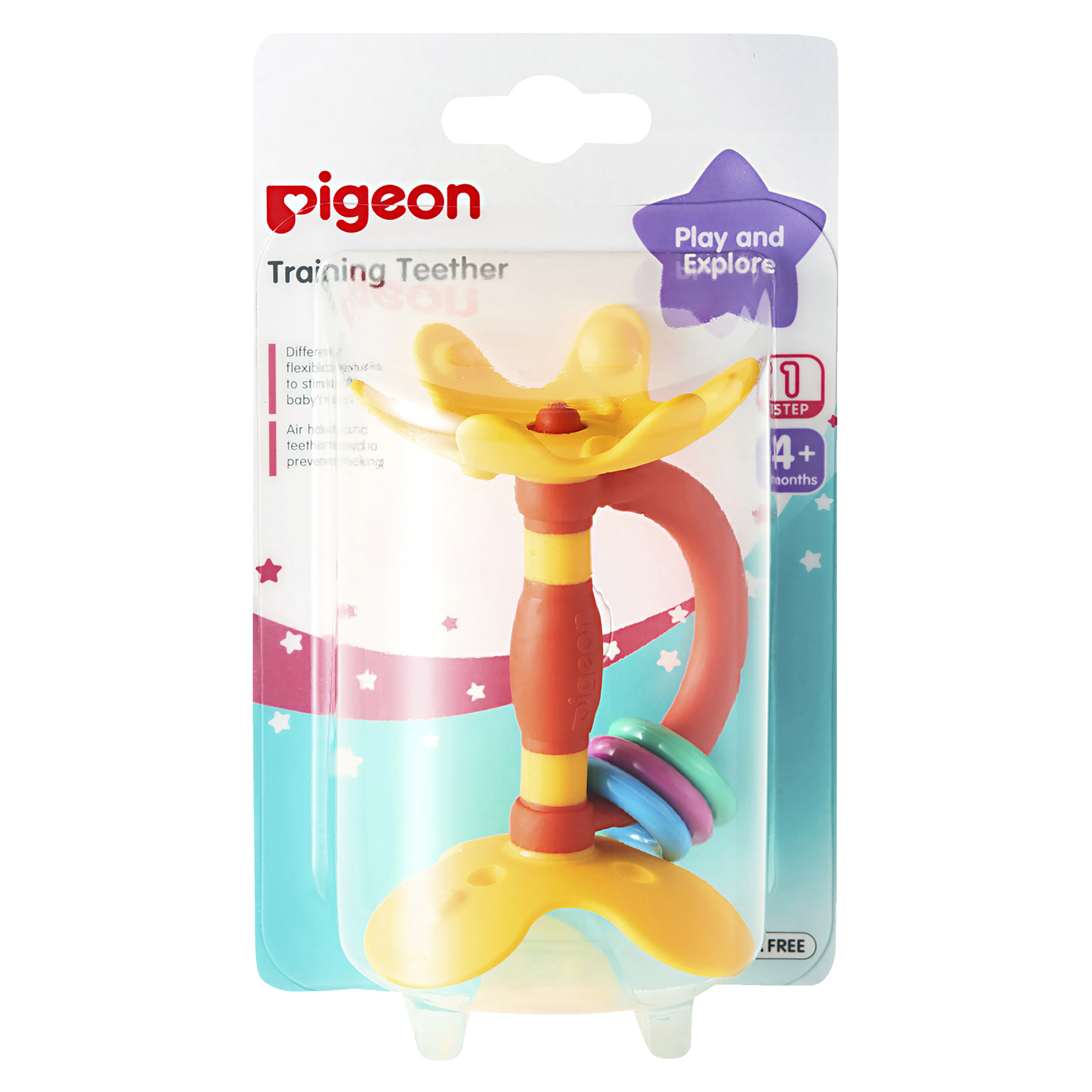 PIGEON TEETHER TRAINING STEP 1