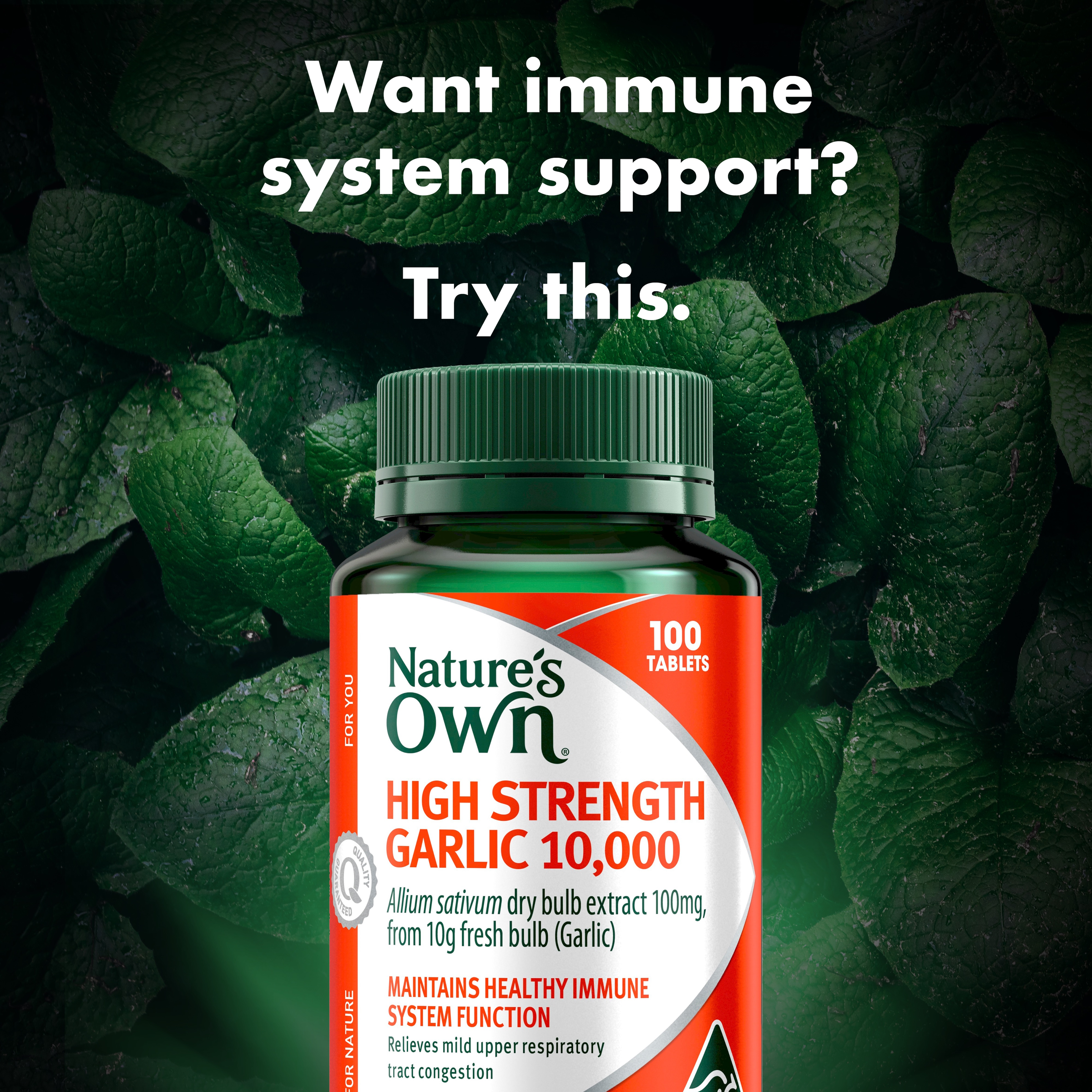 NATURES OWN HIGH STRENGTH GARLIC 10000MG 100 TABLETS - Image 3