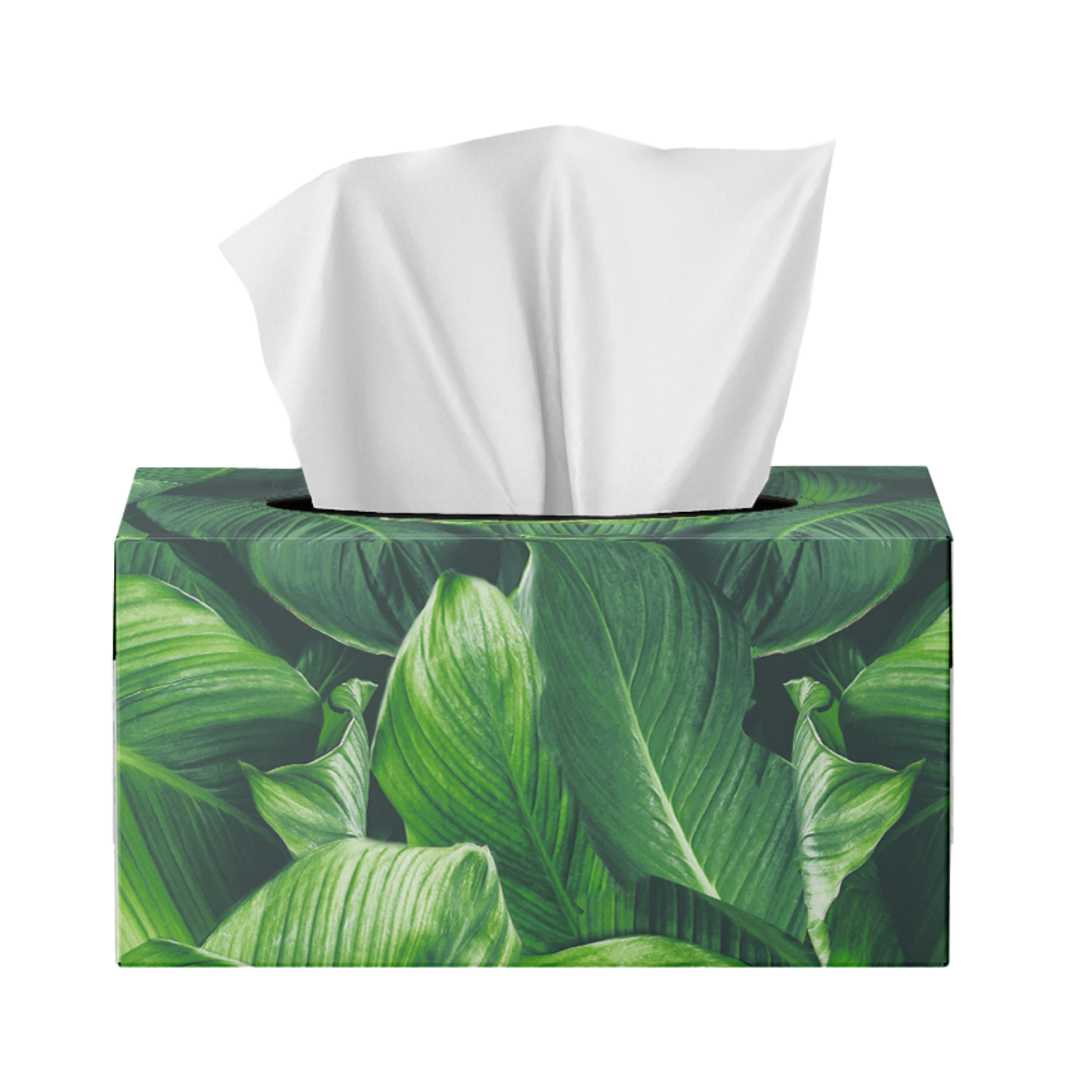 SORBENT FACIAL TISSUES SILKY WHITE 250 PACK - Image 5