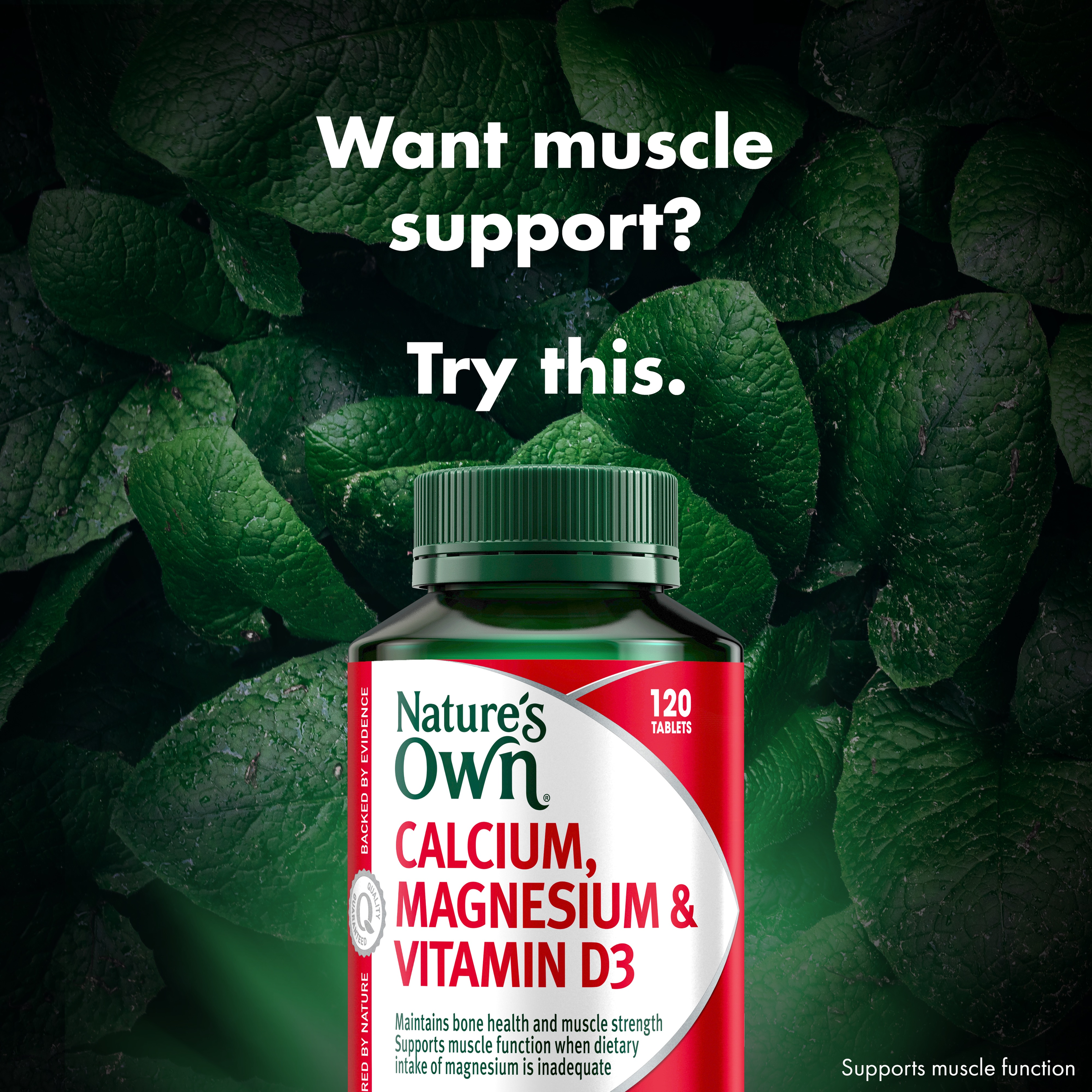 NATURES OWN CALCIUM MAGNESIUM & VITAMIN D3 120 TABLETS - Image 3
