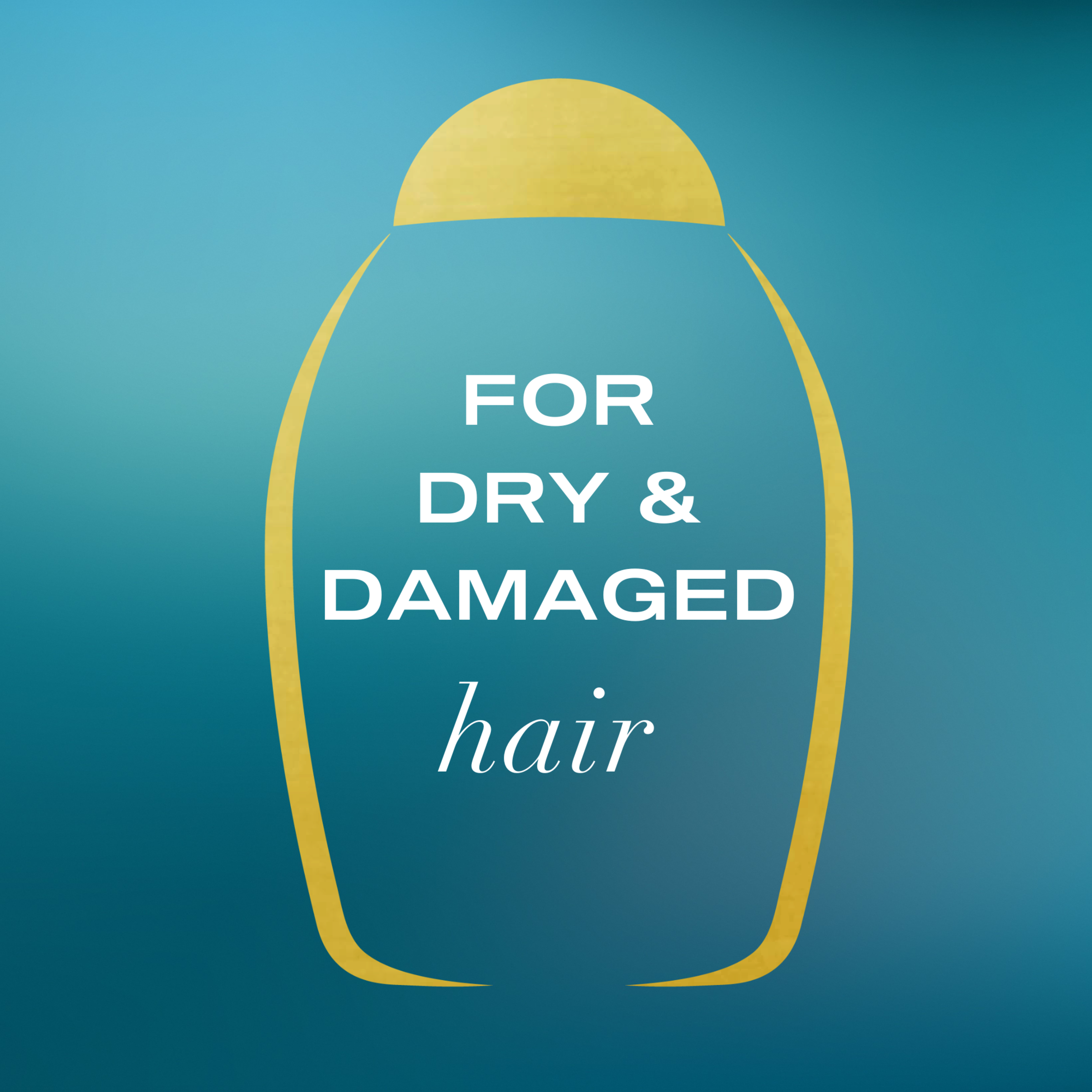 OGX ARGAN OIL OF MOROCCO CONDITIONER 385ML - Image 6