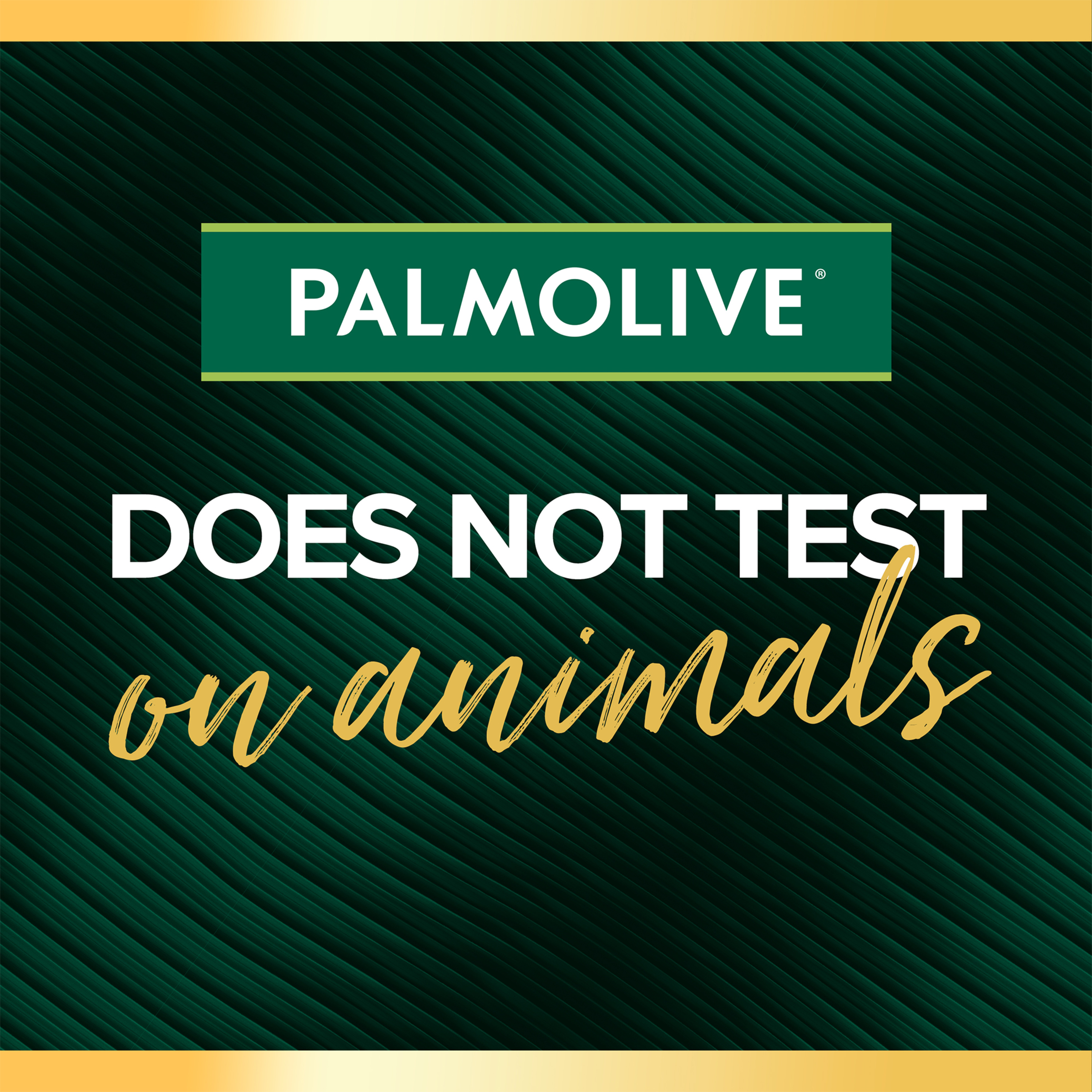 PALMOLIVE LUMINOUS ARGAN OIL & CAMELLIA SHAMPOO 350ML - Image 8