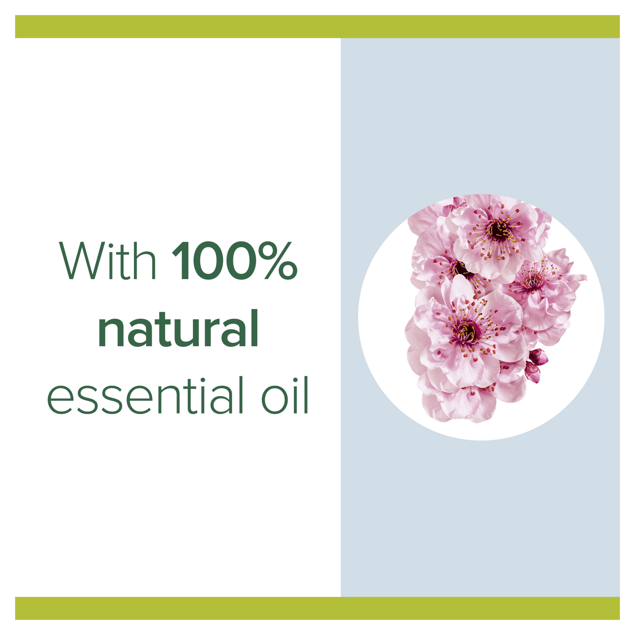 PALMOLIVE FOAMING HAND WASH JAPANESE CHERRY BLOSSOM 250ML - Image 4