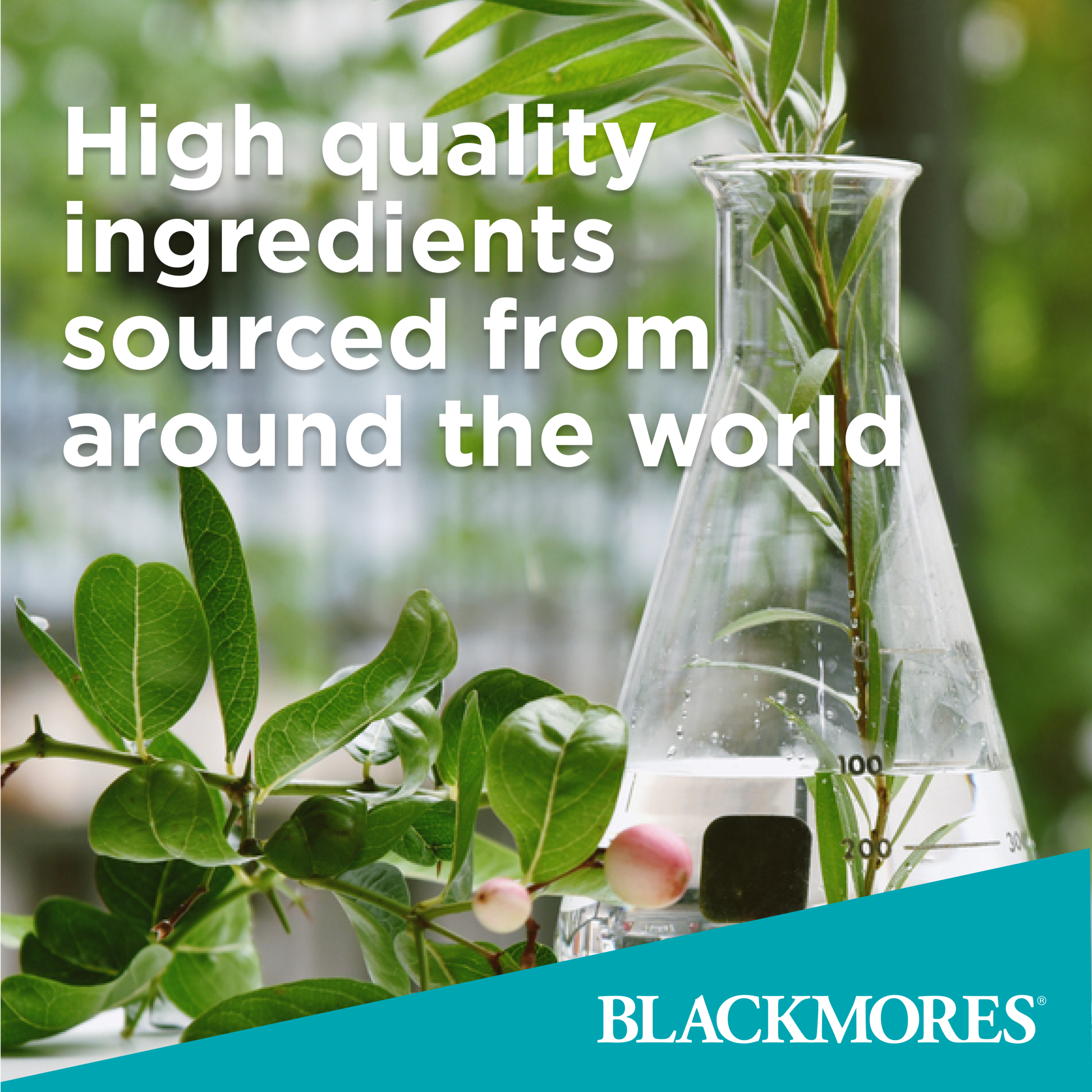 BLACKMORES PROBIOTICS + IMMUNE DEFENCE 90 CAPSULES - Image 5
